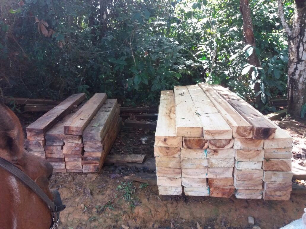 Sello de tratamiento fitosanitario a embalajes de madera