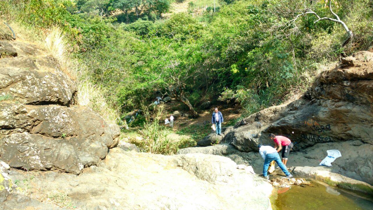Permiso de aprovechamiento forestal  otorgado por la CVC