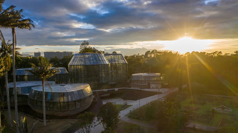 Plataforma de nombres comunes de plantas del jardín botánico de Bogotá