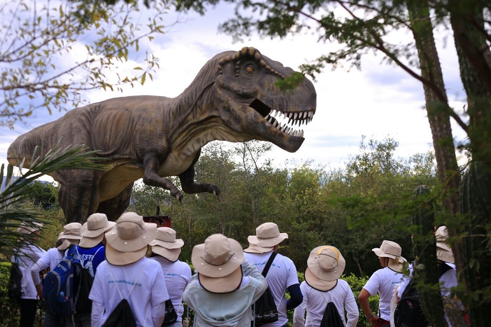Reconocimiento de actores del SNCTI