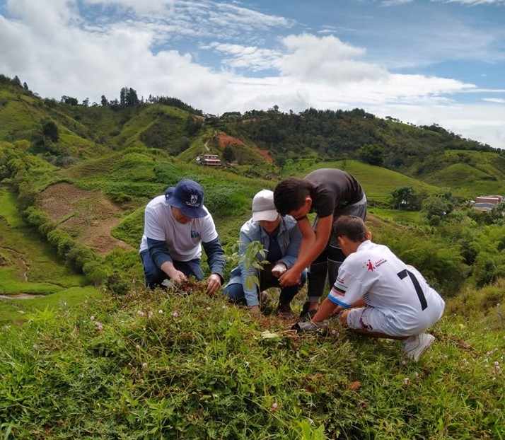 Concepto de uso del suelo en San Roque