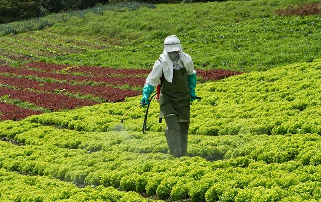 Inscripción de asistente técnico de plaguicidas en Valle del Cauca  