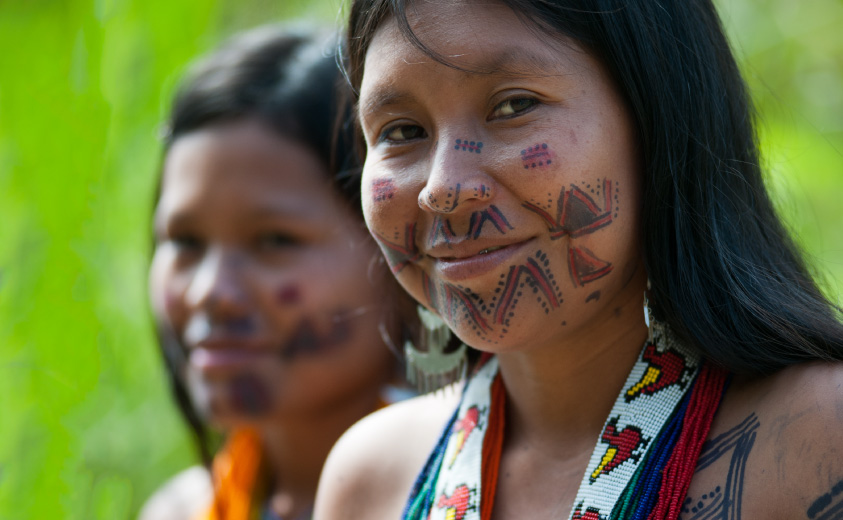 Estudio de factibilidad para instituciones indígenas de educación superior