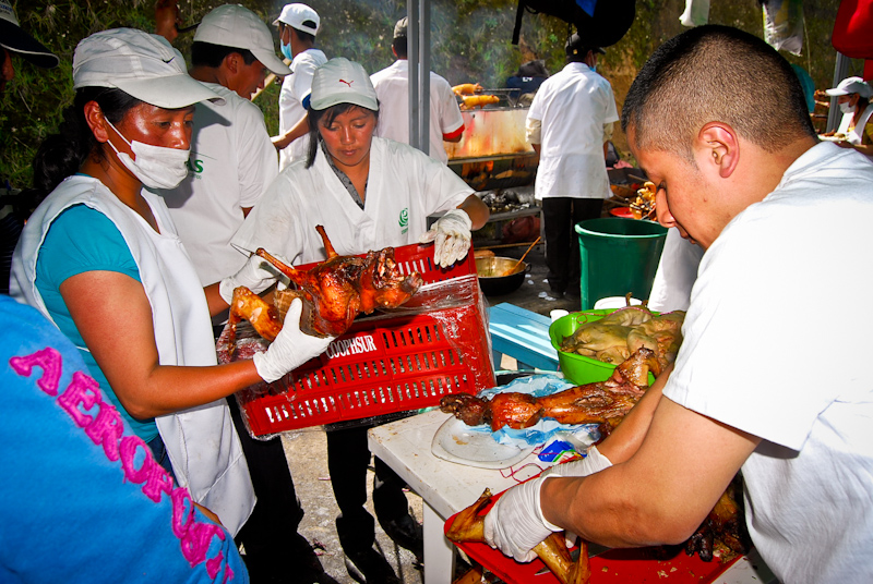 Concepto sanitario en Pasto