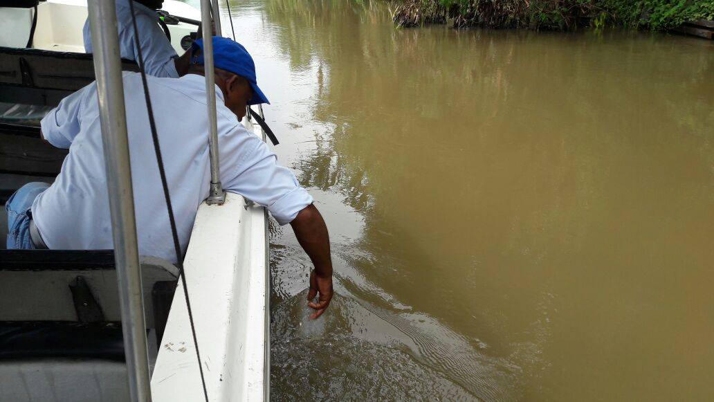 Seguimiento a Permiso de Vertimientos  otorgado por la CVC