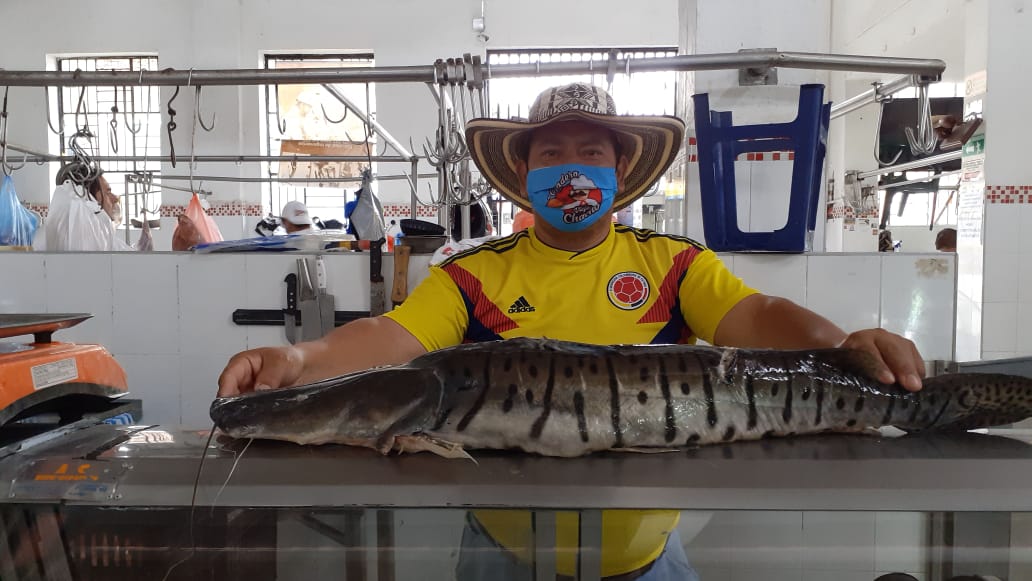 Permiso de pesca comercial industrial