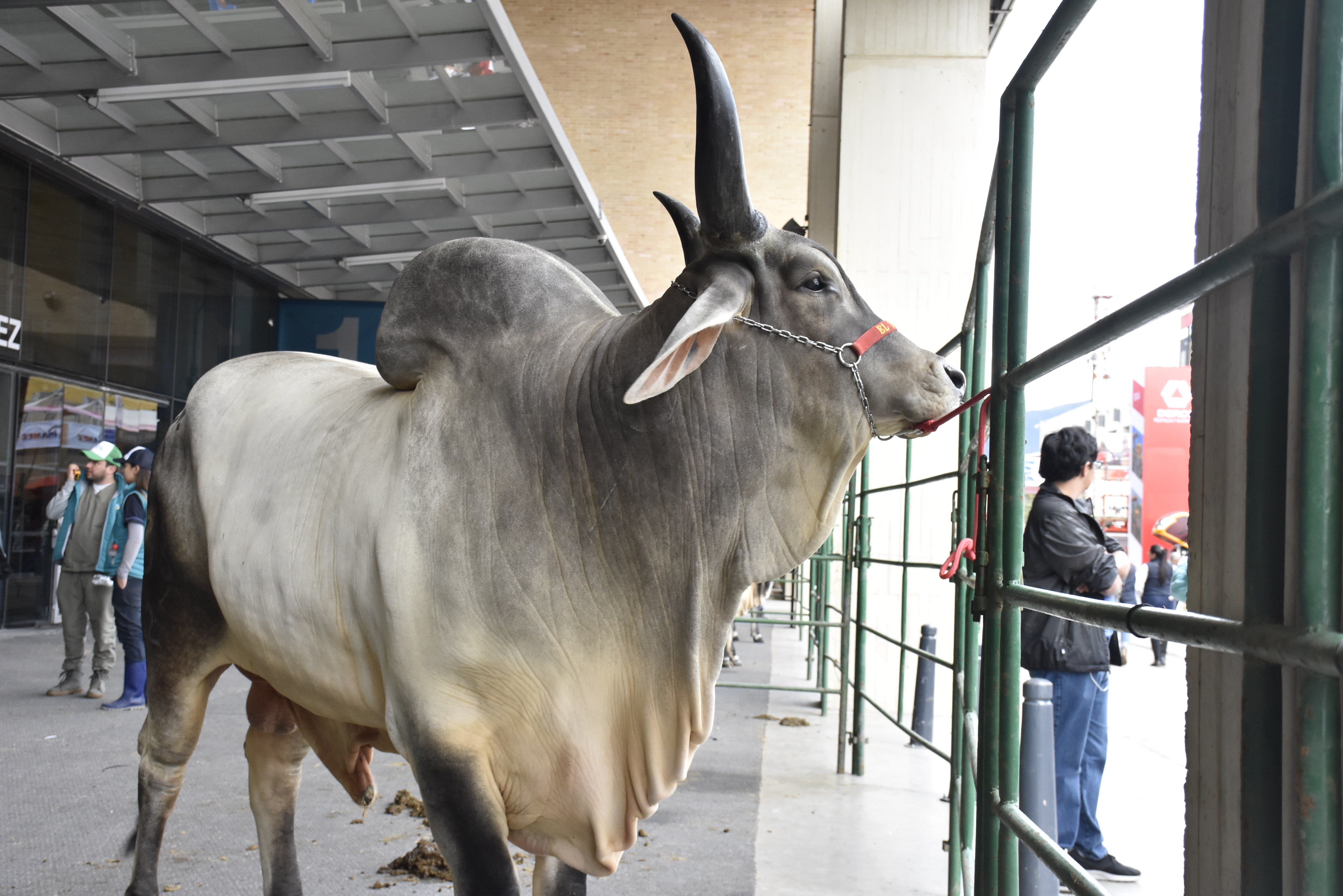 Registro de Unidades Técnicas para material seminal