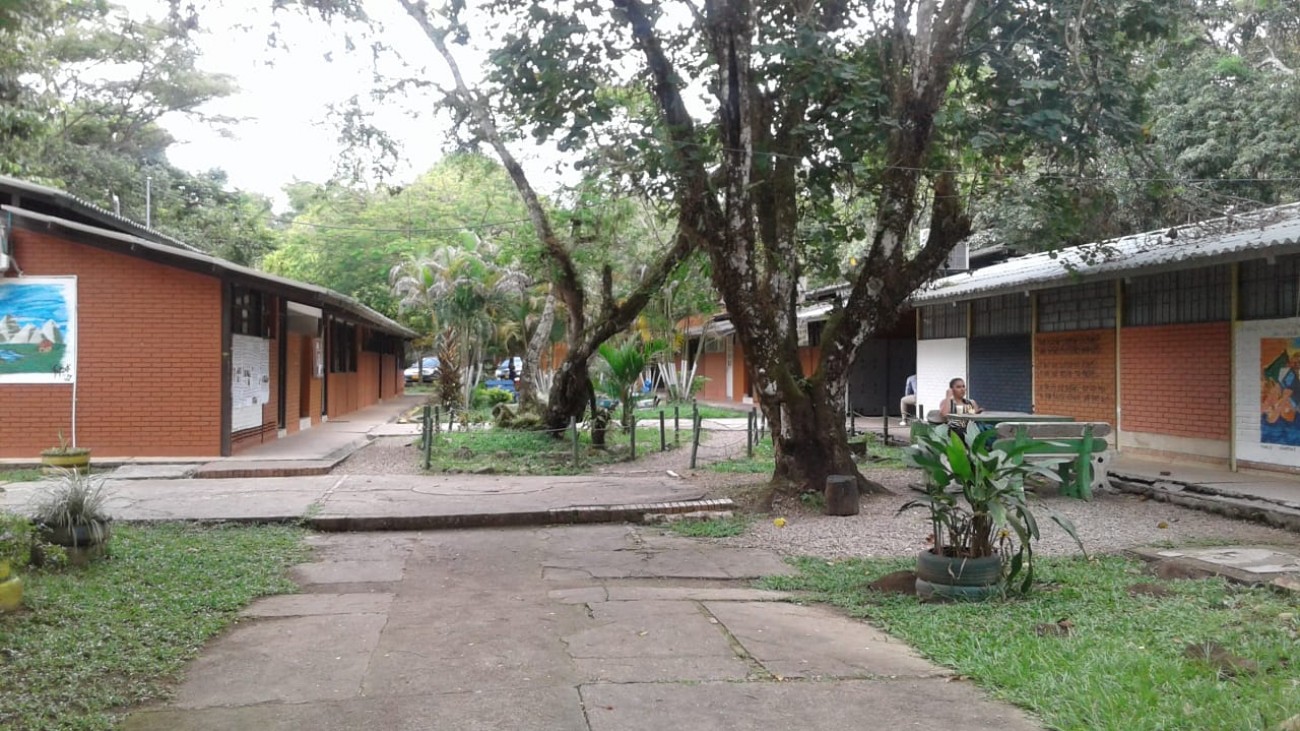 Certificado de notas en Universidad de los Llanos