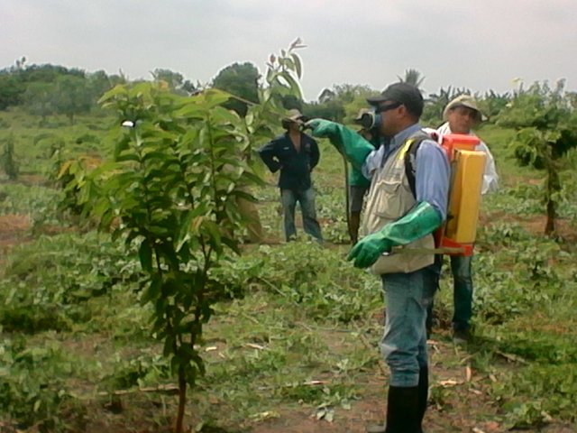 Emisión dictamen técnico toxicológico de plaguicidas de uso agrícola